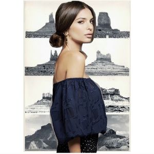 RARE designer off the shoulder blouse!